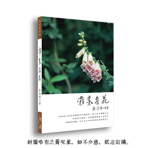 《雾里看花》