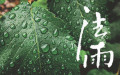 法雨出版小组 (0)